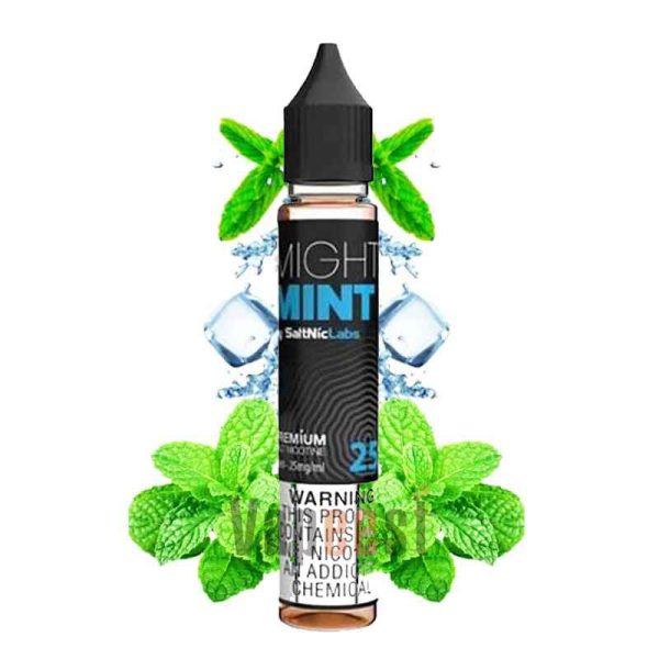 سالت نعناع خنک ویگاد | VGOD MIGHTY MINT SALT
