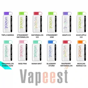 پاد یکبار مصرف وزول Vozol Star 12000 Puff